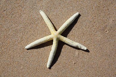 合作或对战？《F1®2021》邀你打造自己的赛车职业生涯